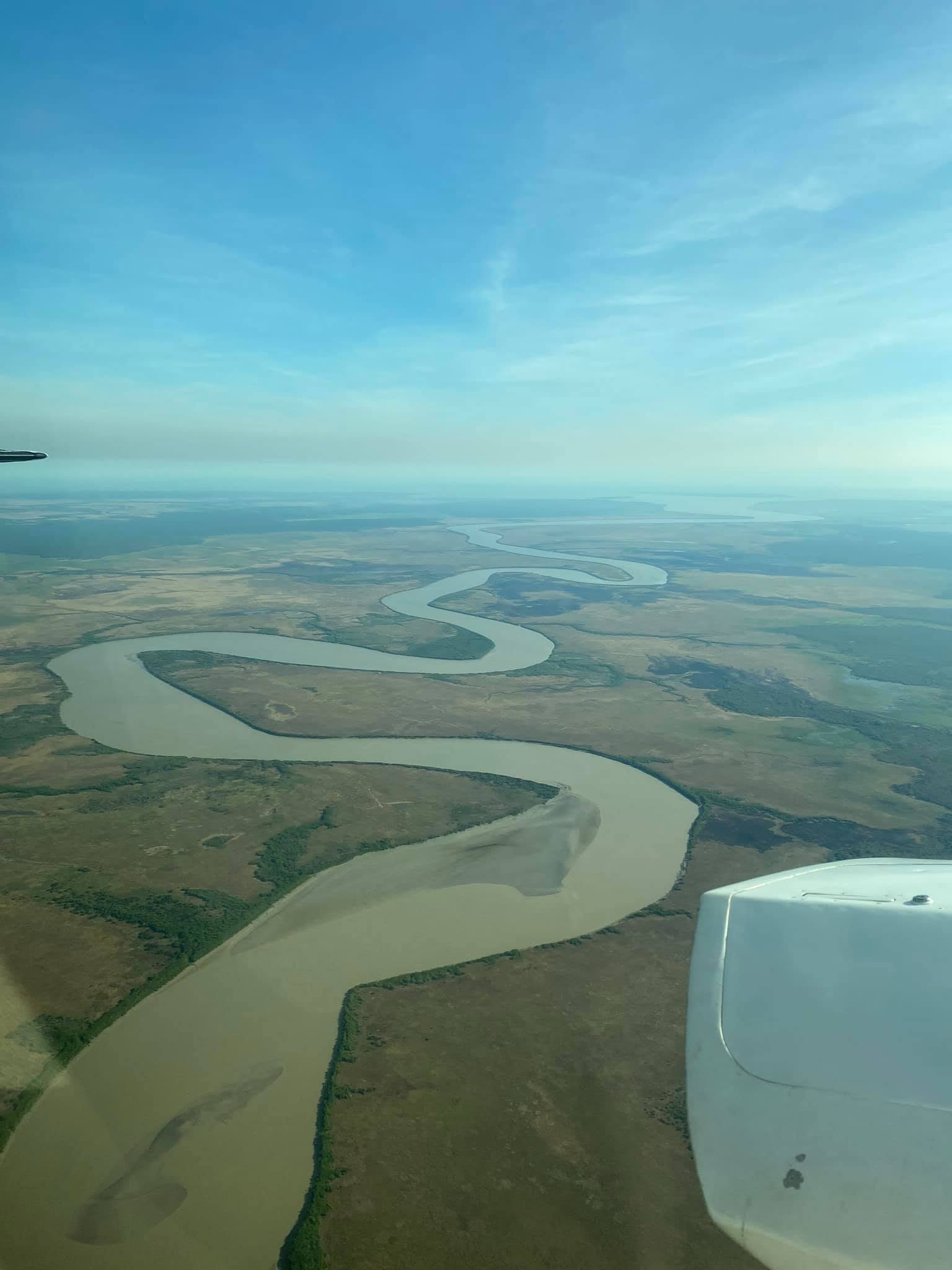 Jabiru